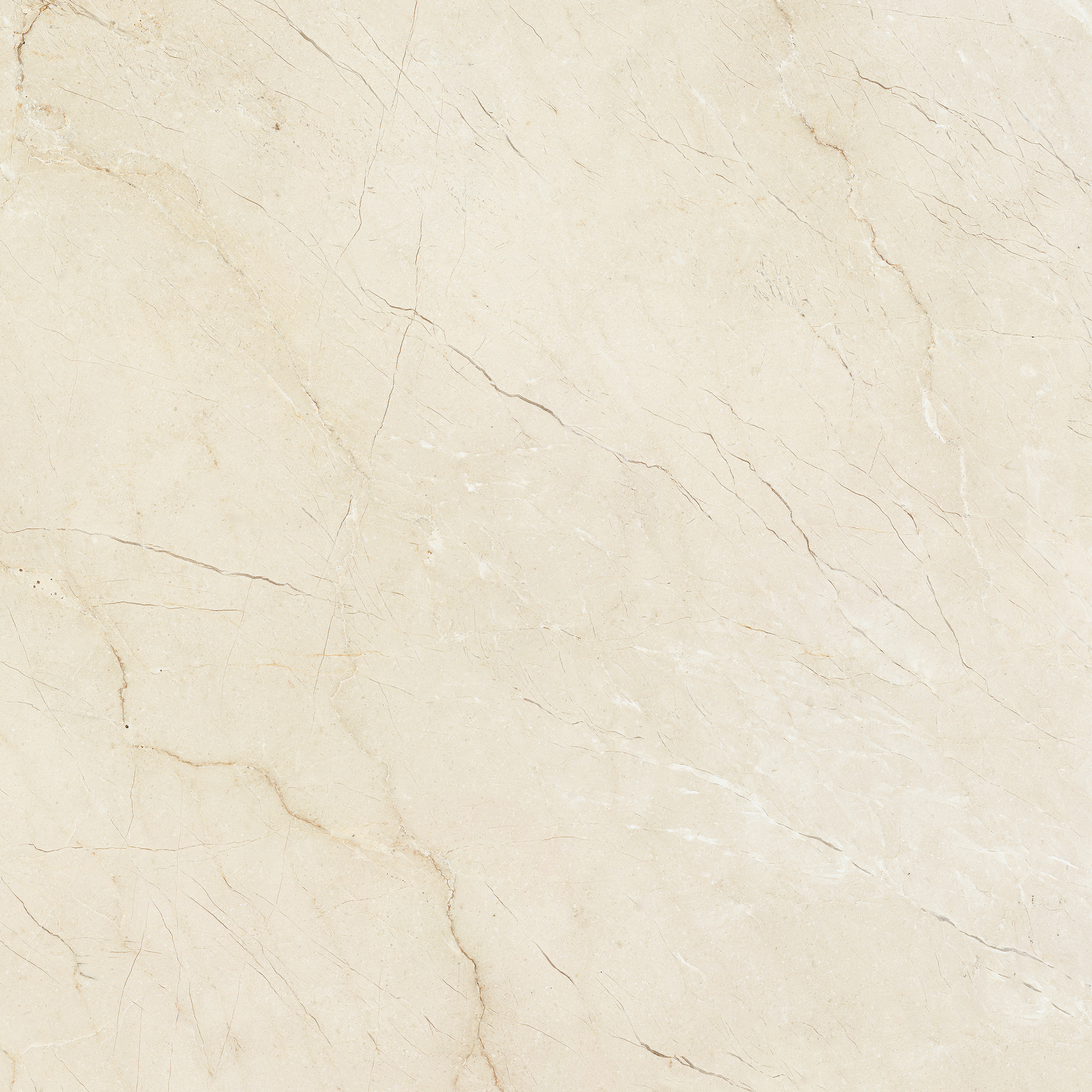 DYNASTY Rectificado ARTCERAMICA - АРТКЕРАМИКА