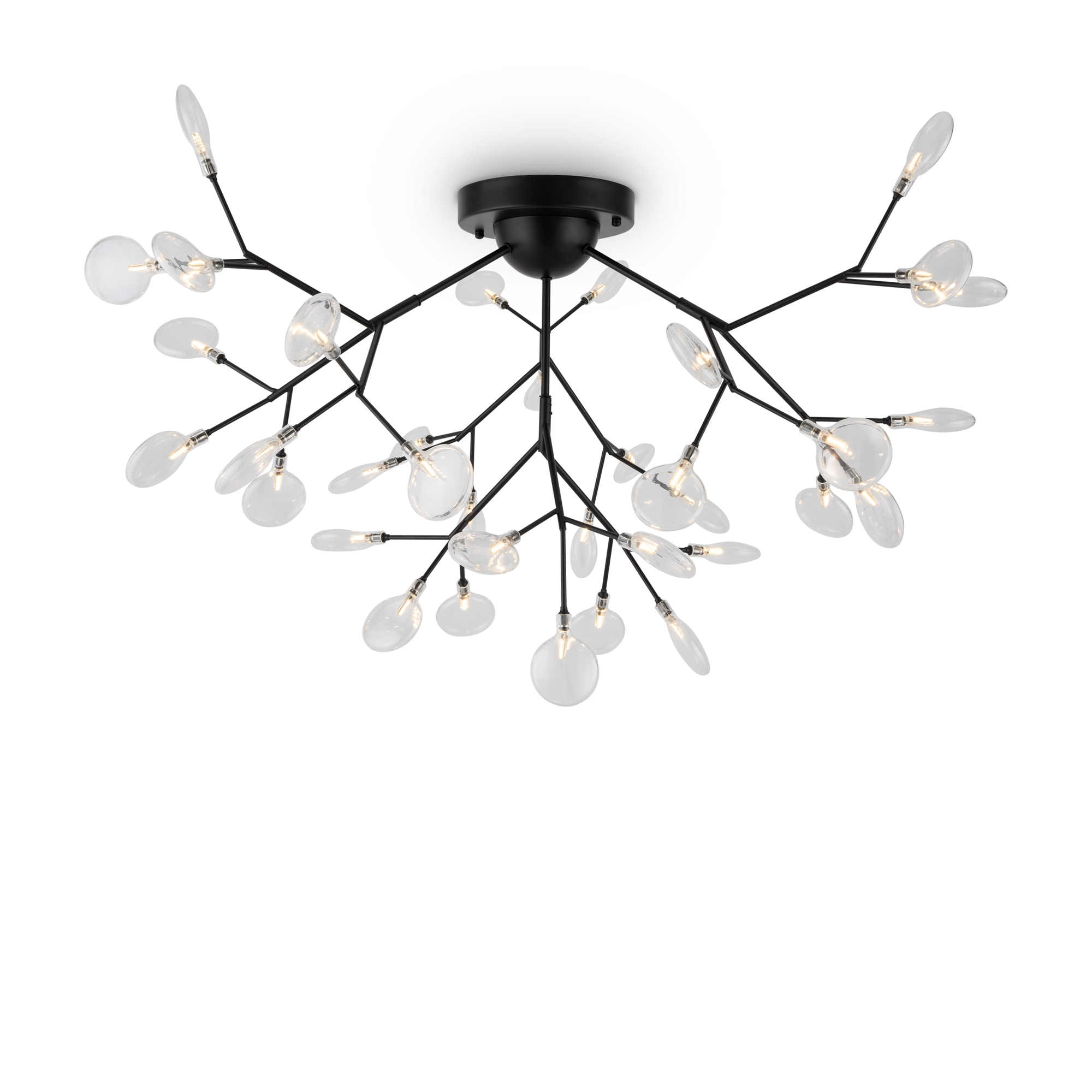 Потолочный светильник Freya Florencia FR5049CL-36B MAYTONI