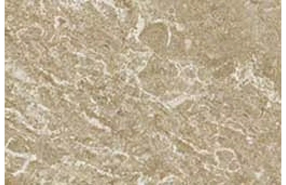 Бордюр Керамогранит Atlas Concorde Russia Force Beige 7,2x60 ART CENTRE