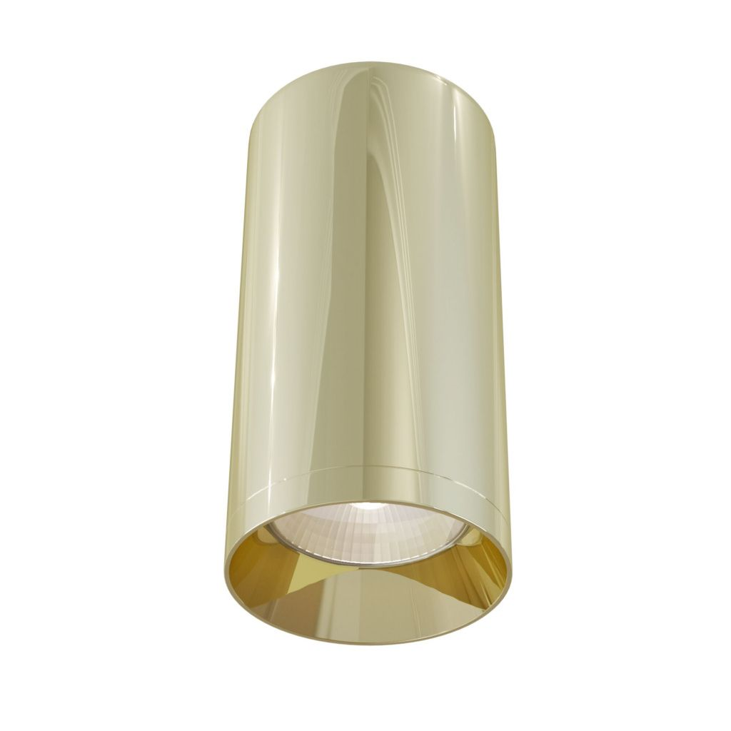 Потолочный светильник Maytoni Technical Focus C010CL-01G MAYTONI