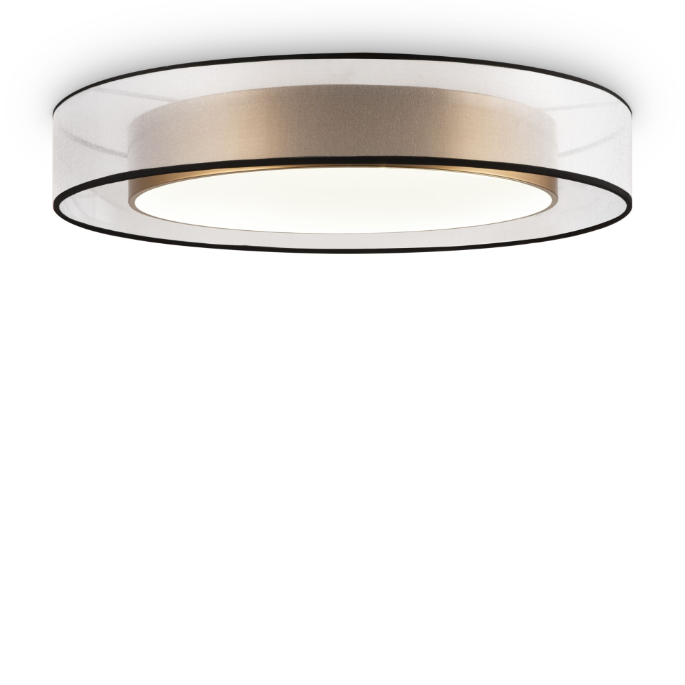 Потолочный светодиодный светильник Freya Zoticus FR6005CL-L48G MAYTONI
