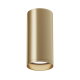 Потолочный светильник Maytoni Technical Focus C010CL-01MG MAYTONI