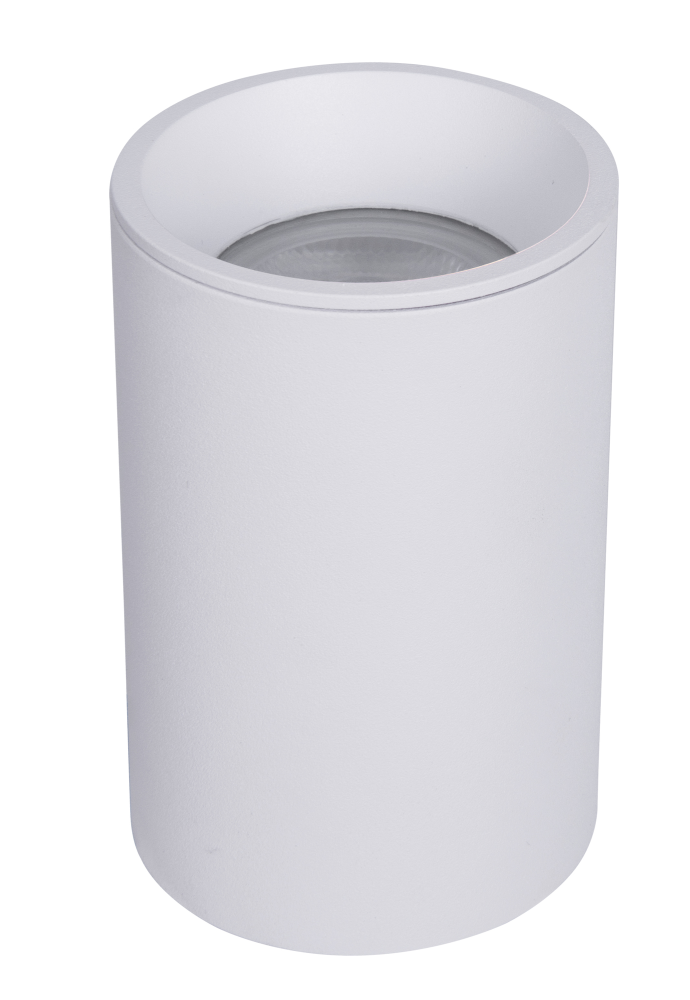 Светильник точечный потолочный Maytoni Zoom C029CL-01-S-W MAYTONI