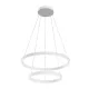 Подвесной светильник Maytoni Technical Rim MOD058PL-L55W4K MAYTONI