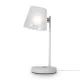 Настольная лампа Freya Gino FR5108TL-01CH MAYTONI