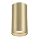 Потолочный светильник Maytoni Technical Focus S C052CL-01MG MAYTONI