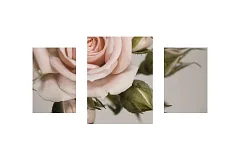 Модульные картины