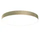 Потолочный светодиодный светильник Maytoni Technical Zon C032CL-L96MG3K MAYTONI