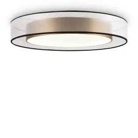 Потолочный светодиодный светильник Freya Zoticus FR6005CL-L48G MAYTONI