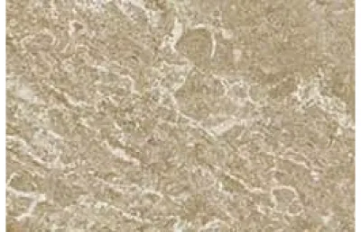 Бордюр Керамогранит Atlas Concorde Russia Force Beige 7,2x60 ART CENTRE