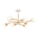 Люстра на штанге Freya Amy FR5105CL-08W MAYTONI