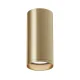 Потолочный светильник Maytoni Technical Focus C010CL-01MG MAYTONI