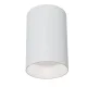 Потолочный светильник Maytoni Technical Alfa C014CL-01W MAYTONI