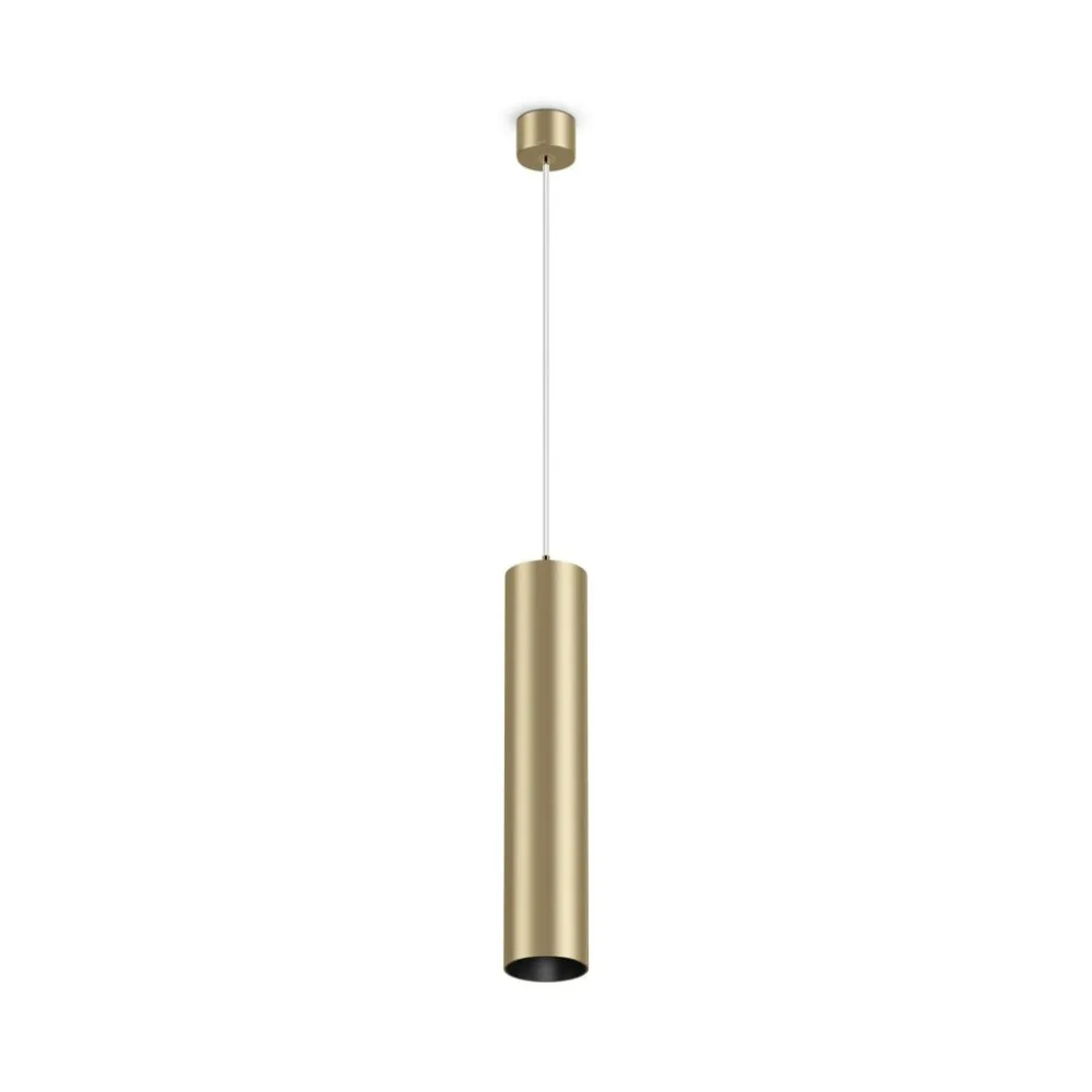 Подвесной светильник Maytoni Technical Focus P075PL-01MG MAYTONI