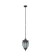 Уличный подвесной светильник Maytoni Fleur O414PL-01BZ MAYTONI