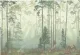 Фрески, фотообои: ID136008 ПРАЙМ ДЕКОР