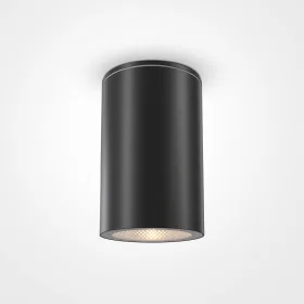 Уличный потолочный светильник Maytoni Roll O307CL-01B MAYTONI
