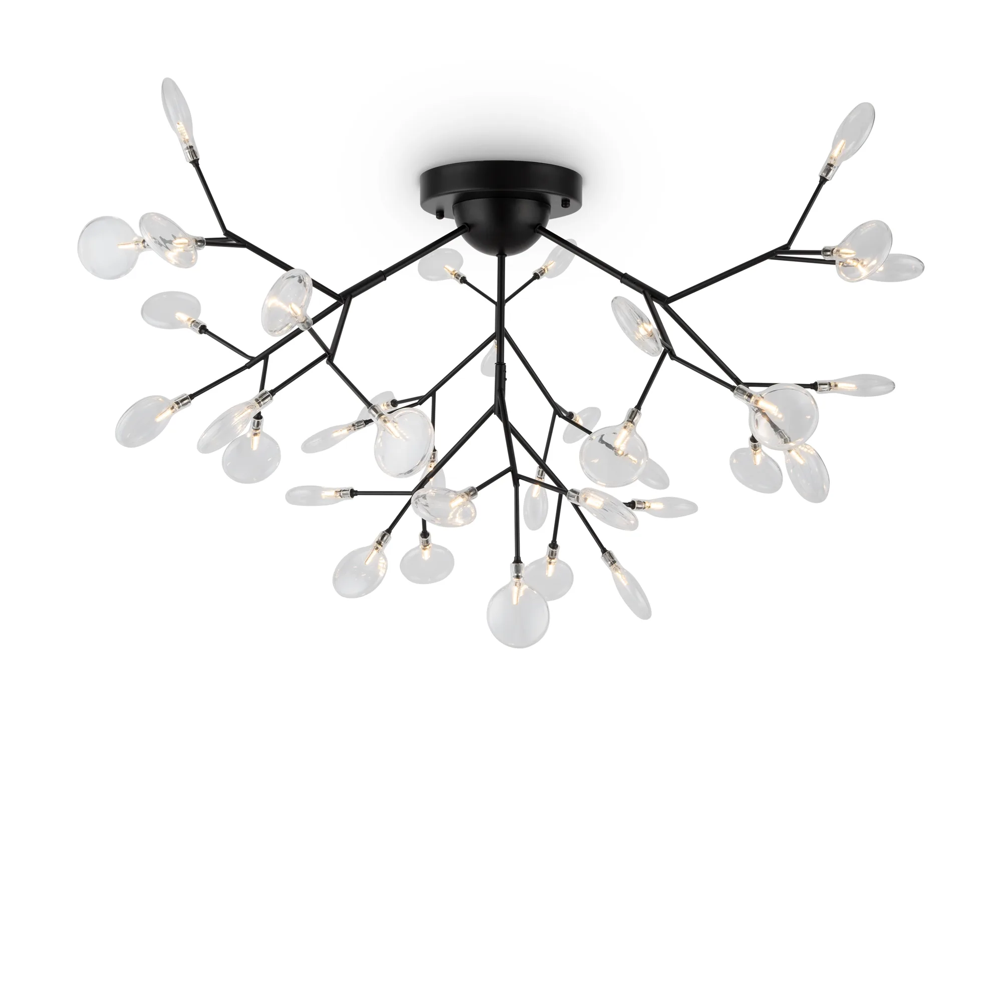 Потолочный светильник Freya Florencia FR5049CL-36B MAYTONI