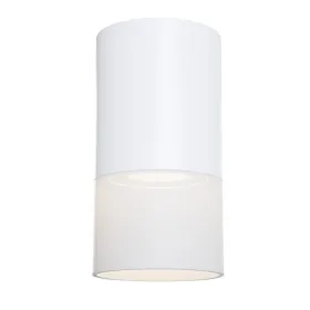 Потолочный светильник Maytoni Technical Pauline C007CW-01W MAYTONI
