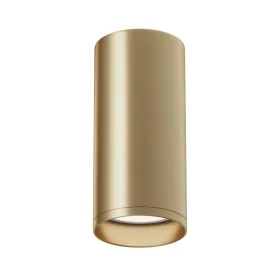 Потолочный светильник Maytoni Technical Focus C010CL-01MG MAYTONI
