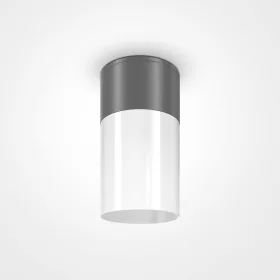 Уличный потолочный светильник Maytoni Willis O418CL-01GR MAYTONI