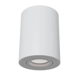 Потолочный светильник Maytoni Technical Alfa C016CL-01W MAYTONI