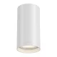 Потолочный светильник Maytoni Technical Focus S C052CL-01W MAYTONI