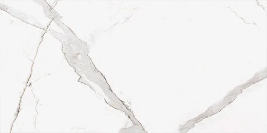 Calacatta Oro 60x120 5мм Matt