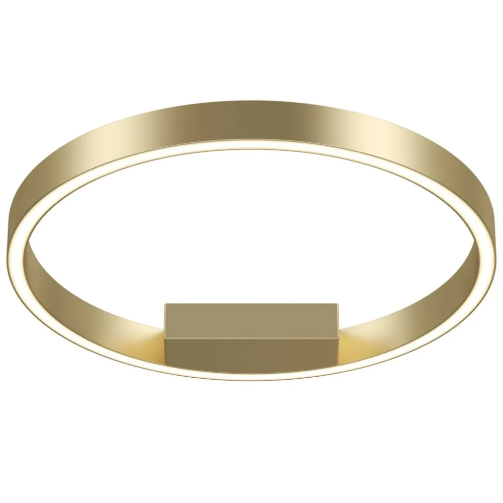 Потолочный светодиодный светильник Maytoni Technical Rim MOD058CL-L25BS4K MAYTONI