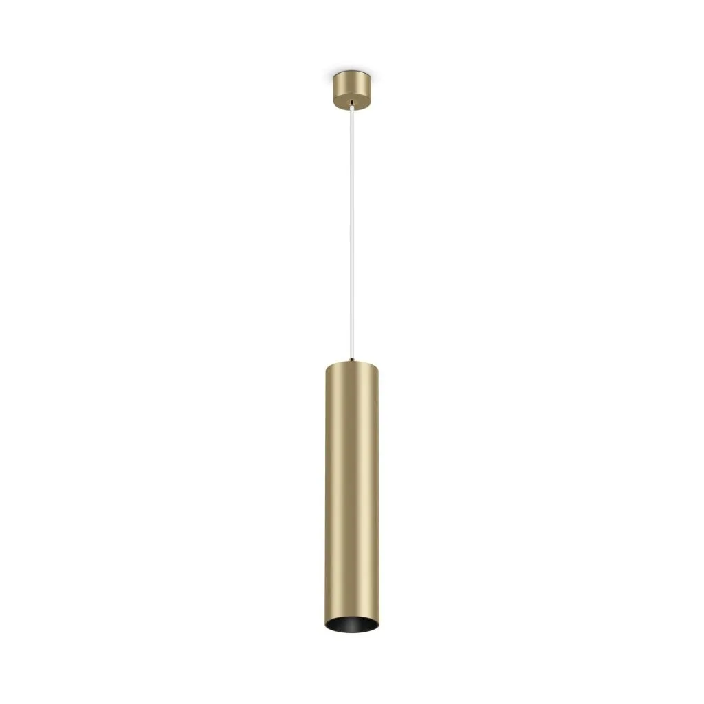 Подвесной светильник Maytoni Technical Focus P075PL-01MG MAYTONI